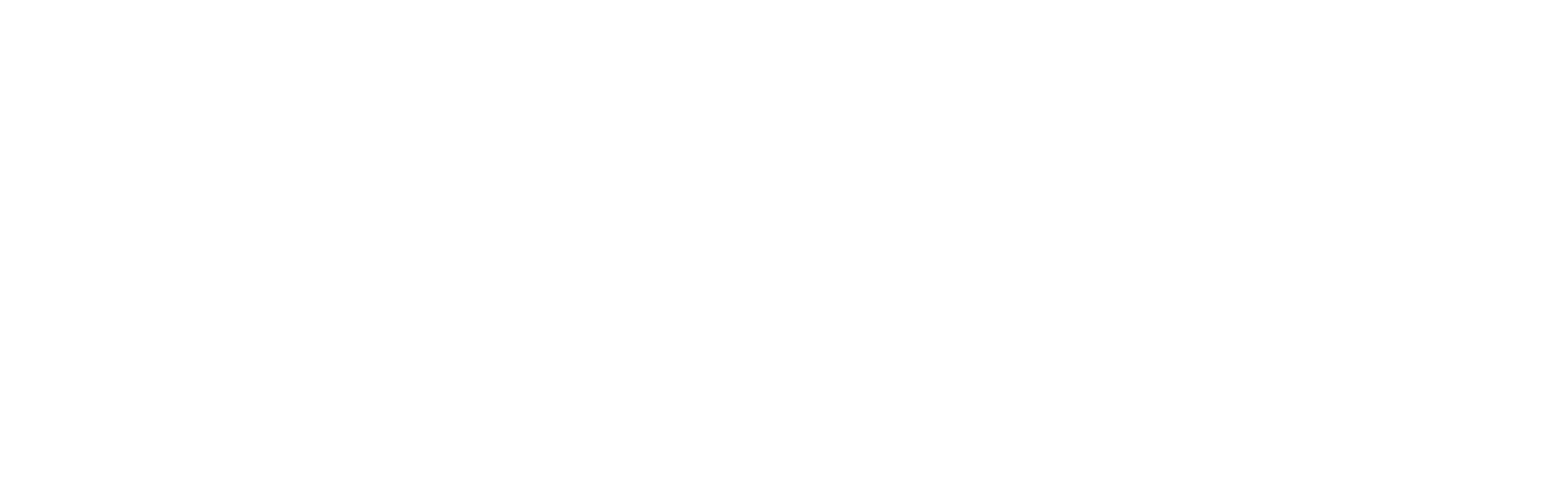 LOGO BLANC